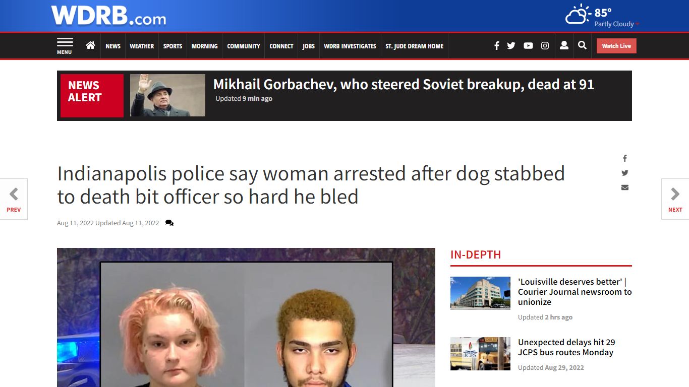 Indianapolis police say woman arrested after dog stabbed to death bit ...